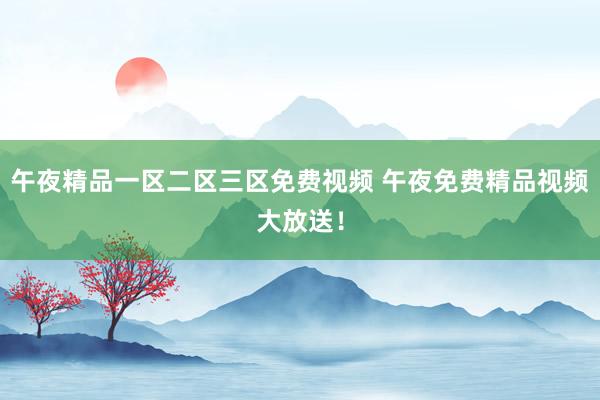 午夜精品一区二区三区免费视频 午夜免费精品视频大放送！