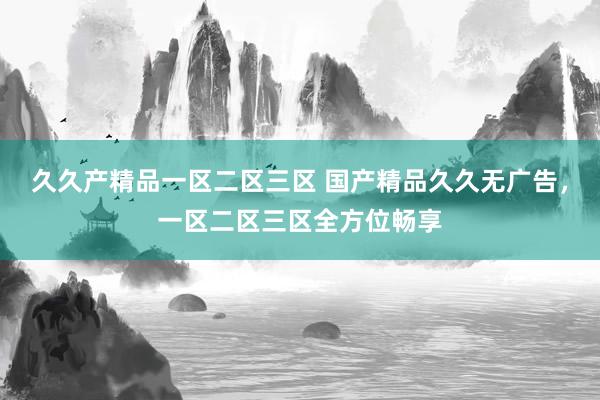 久久产精品一区二区三区 国产精品久久无广告，一区二区三区全方位畅享