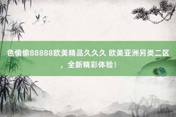 色偷偷88888欧美精品久久久 欧美亚洲另类二区，全新精彩体验！