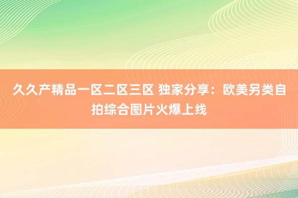 久久产精品一区二区三区 独家分享：欧美另类自拍综合图片火爆上线