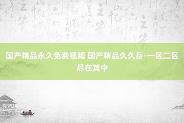 国产精品永久免费视频 国产精品久久岳-一区二区尽在其中