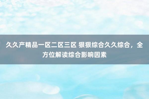 久久产精品一区二区三区 狠狠综合久久综合，全方位解读综合影响因素