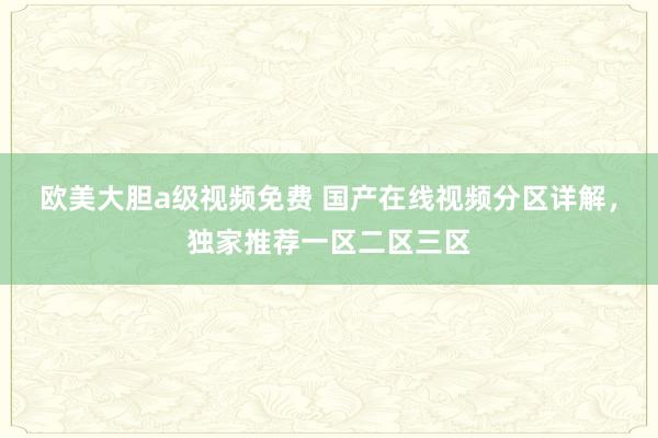欧美大胆a级视频免费 国产在线视频分区详解，独家推荐一区二区三区