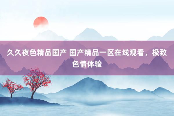 久久夜色精品国产 国产精品一区在线观看，极致色情体验